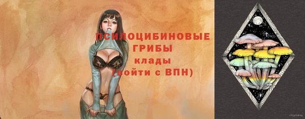 первитин Алексеевка