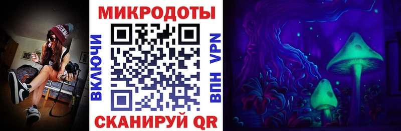 Псилоцибиновые грибы Cubensis  Порхов 